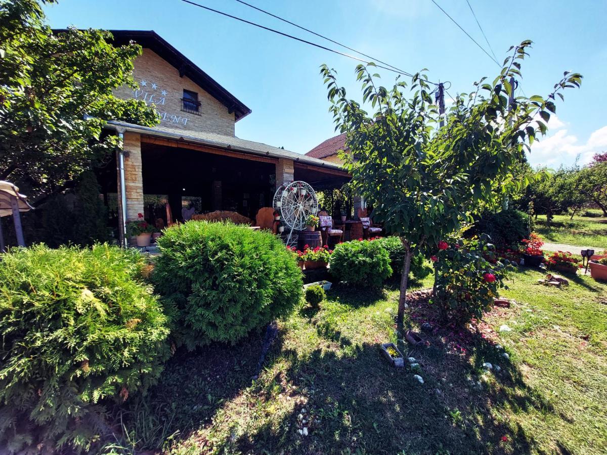 Vila Prezident Sremski Karlovci Exterior foto